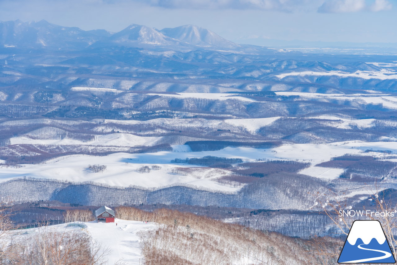 十勝サホロリゾート｜道東の粉雪はレベルが違う☆抵抗感皆無のさらさらパウダースノーへ滑り込め！(*^^*)